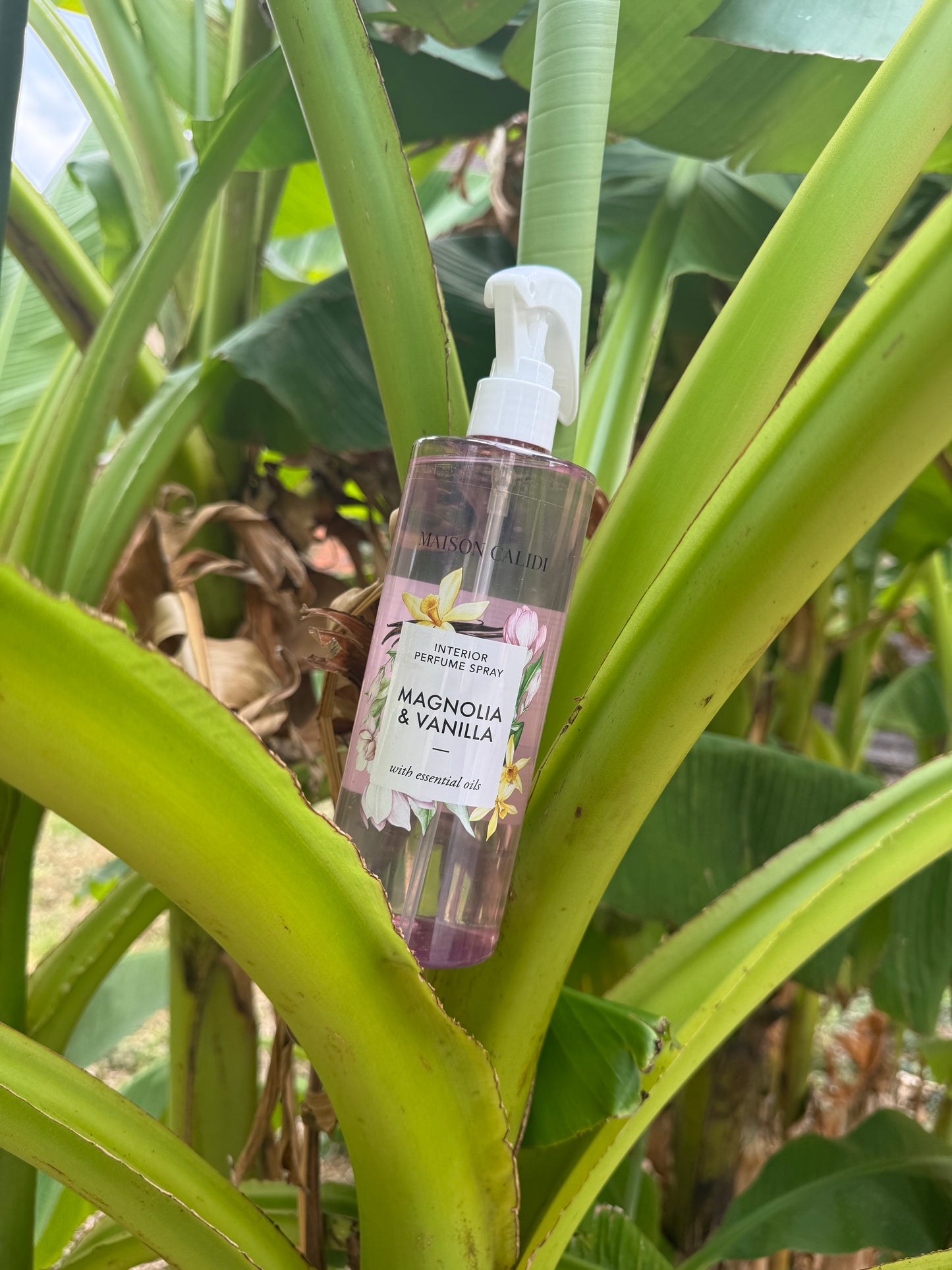 Parfum d’ambiance