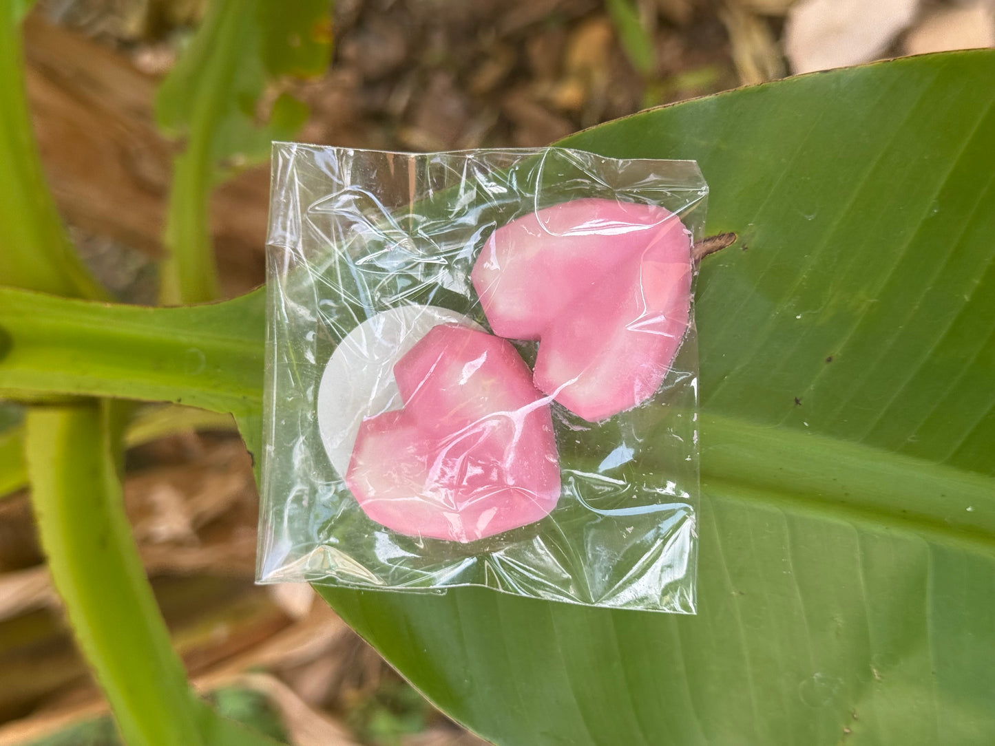 Fondants parfumés senteur fruits des bois
