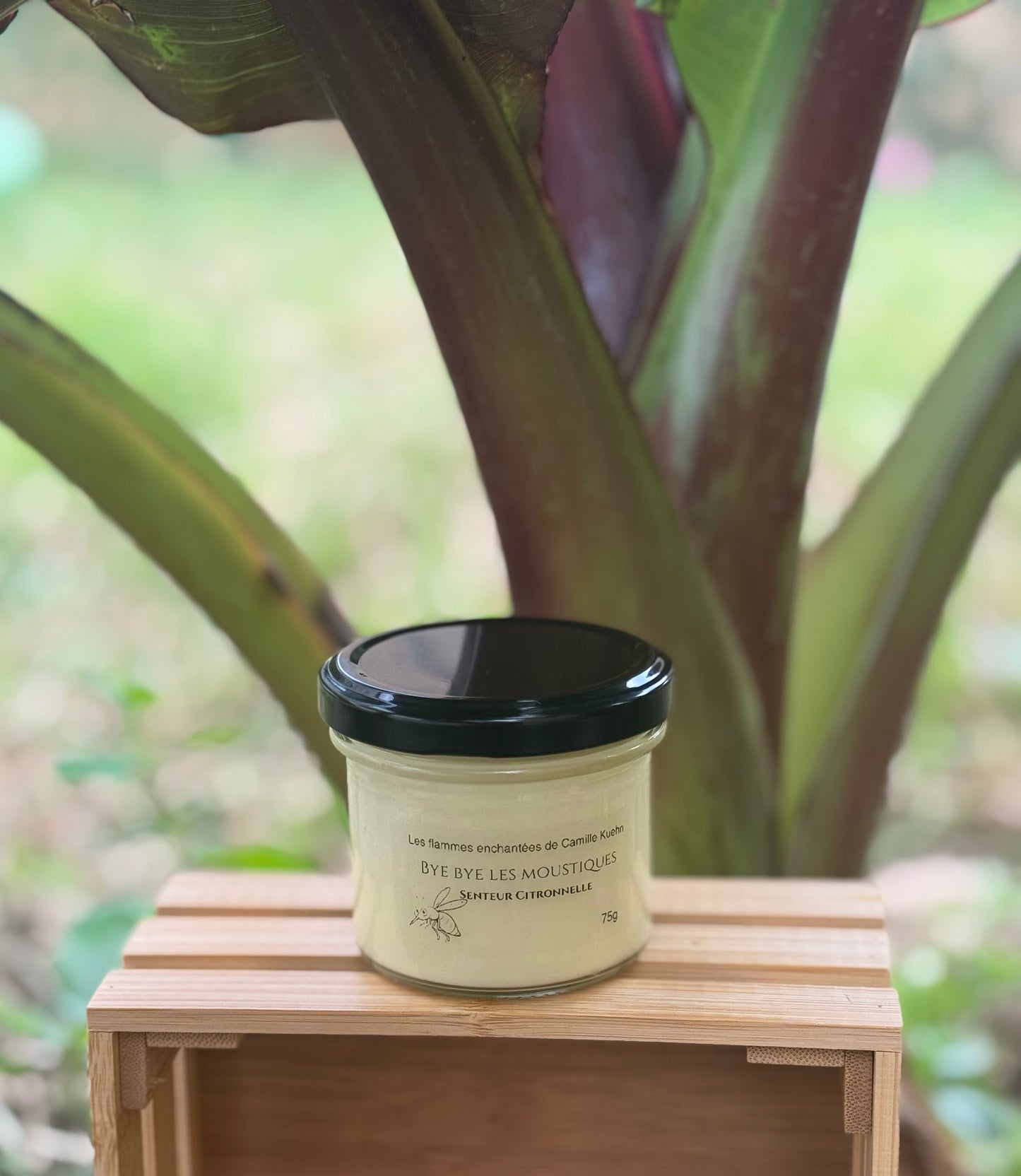 Bougie senteur citronnelle