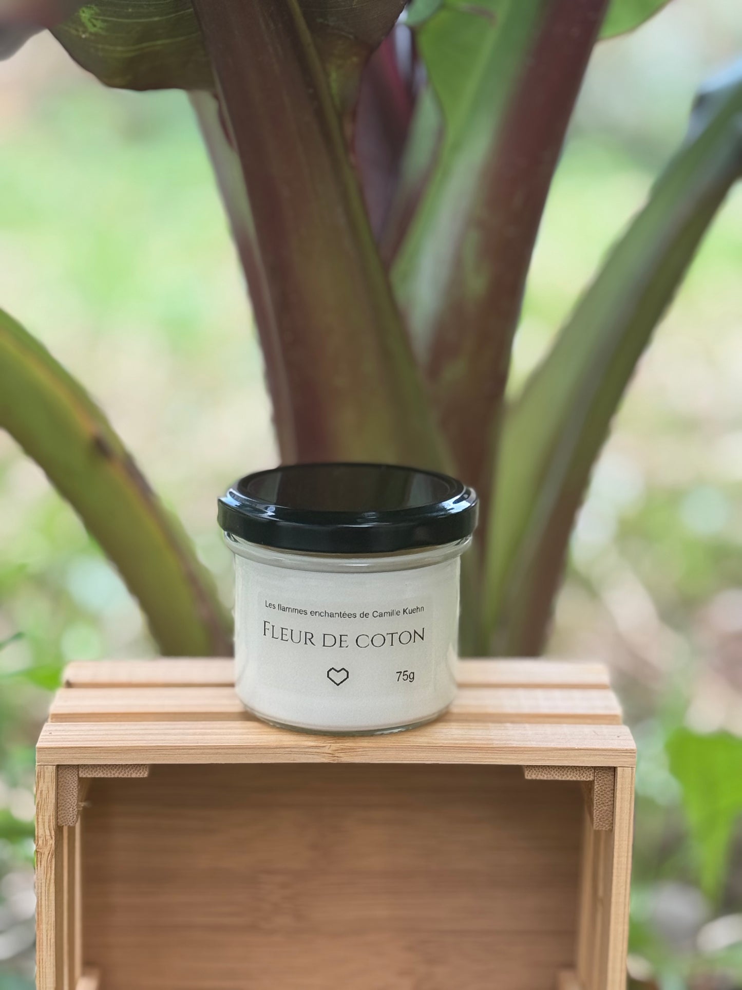 Bougie senteur fleur de coton