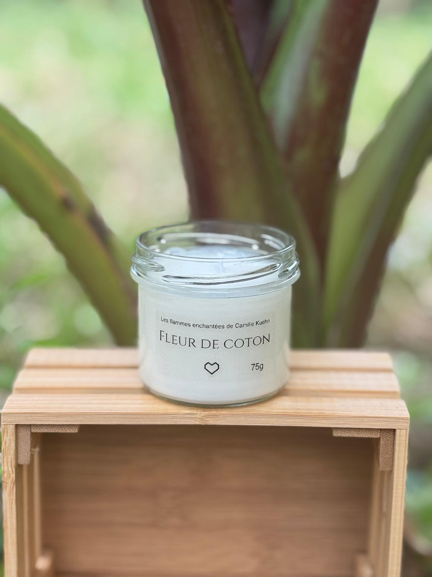 Bougie senteur fleur de coton