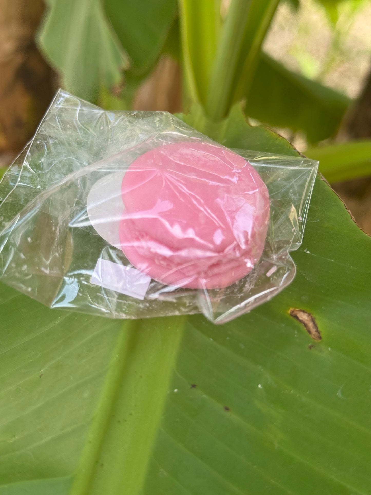 Fondants parfumés senteur fruits des bois