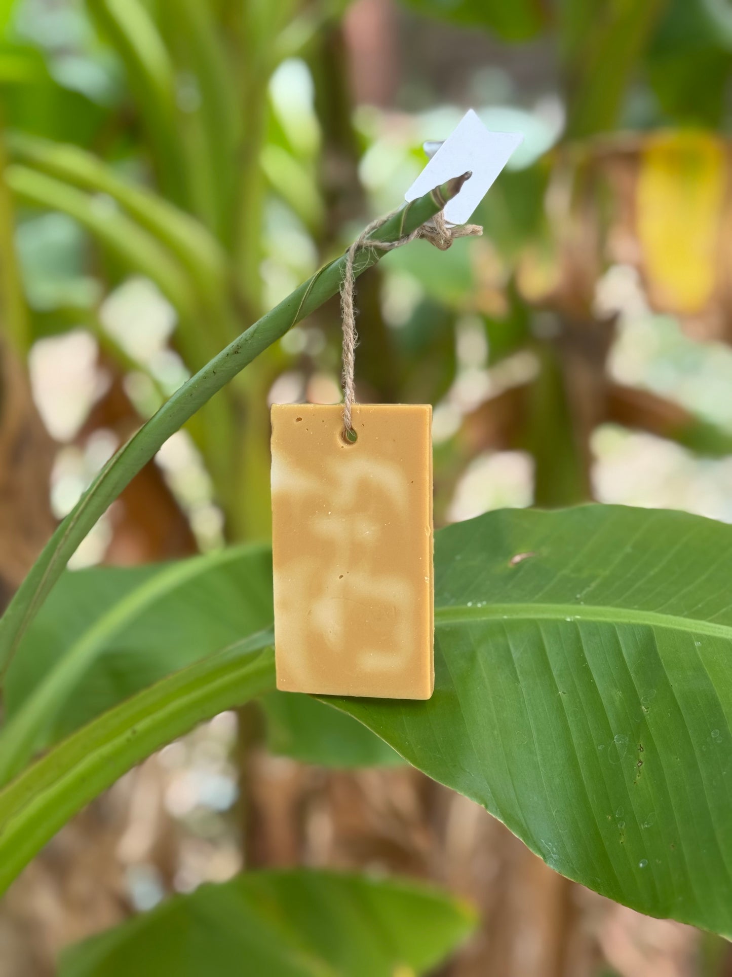 Suspension parfumé