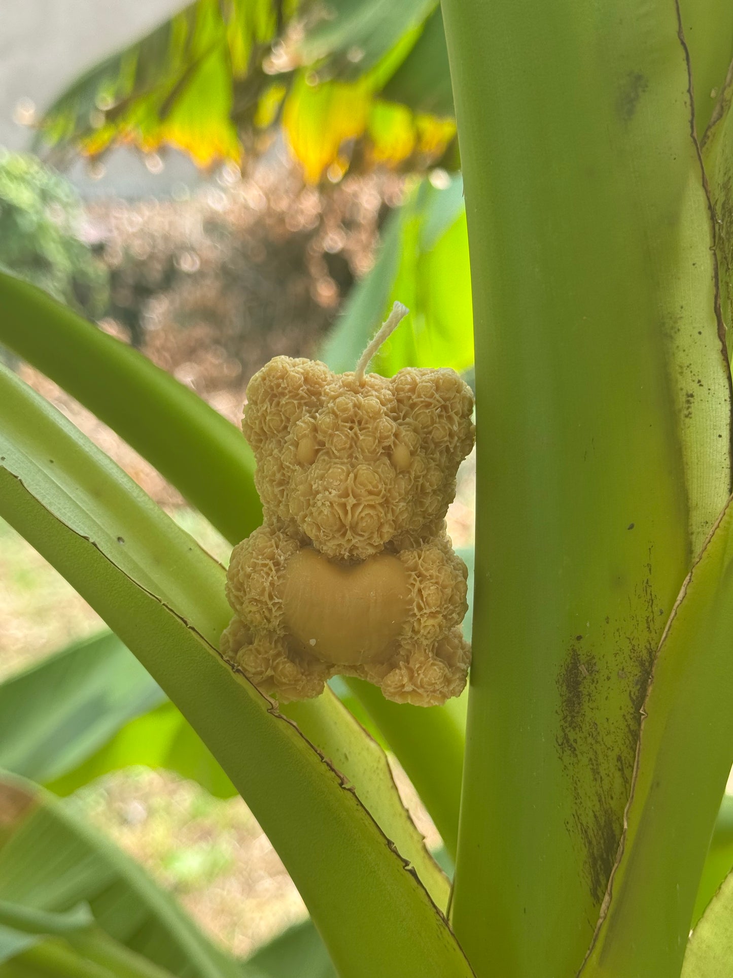 Mini nounours