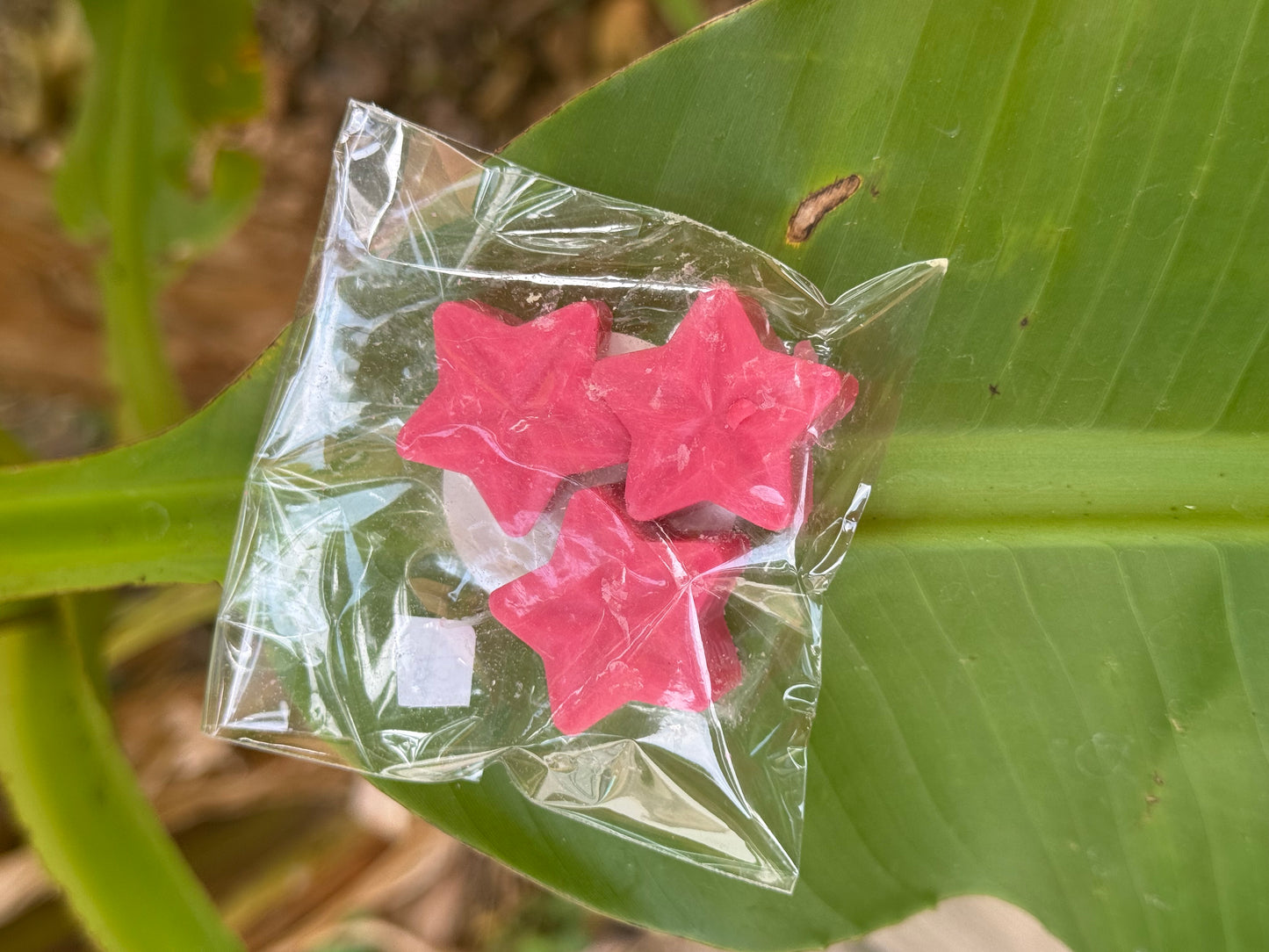 Fondants parfumés senteur rouge de fruits