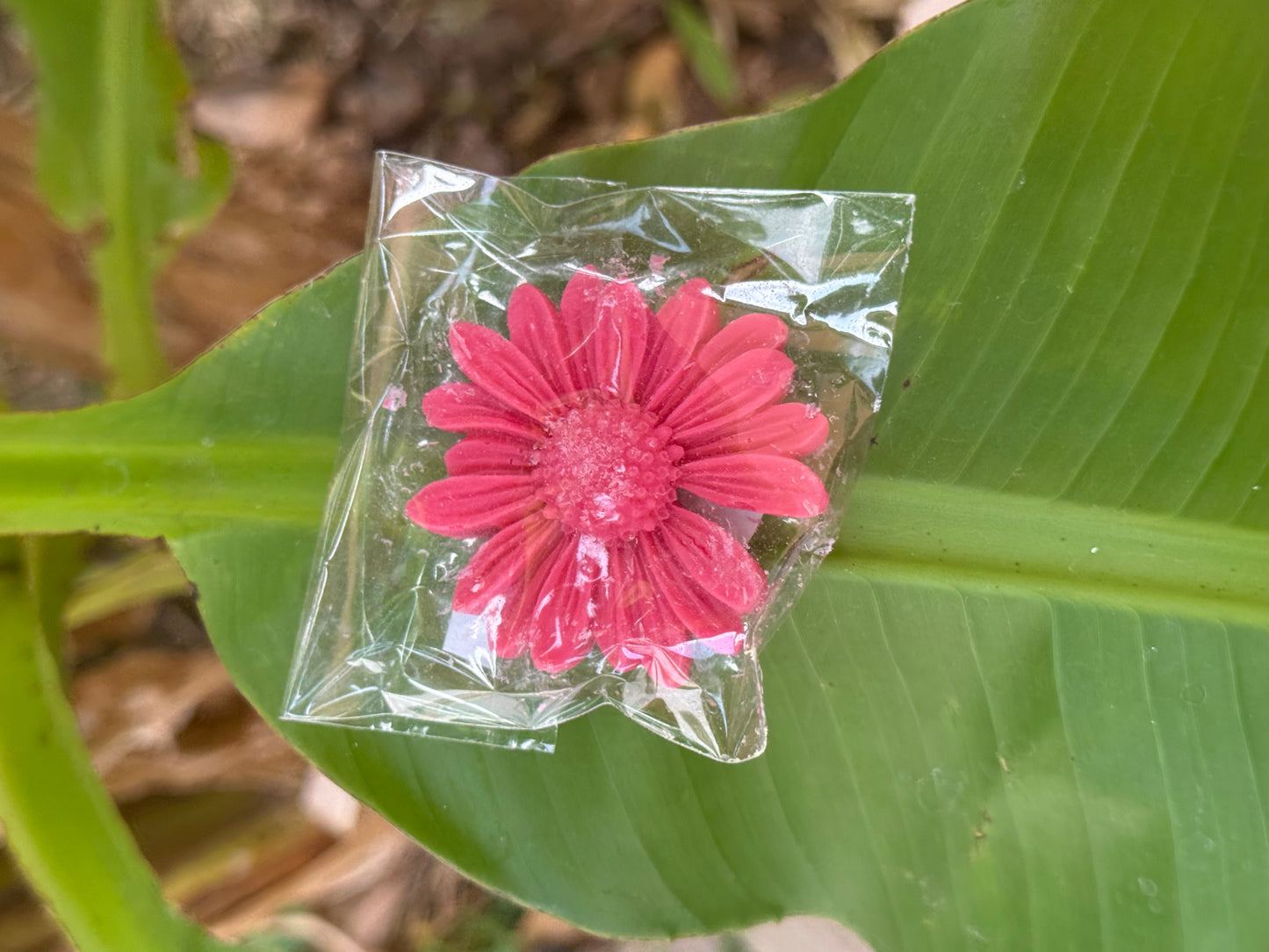 Fondants parfumés senteur rouge de fruits