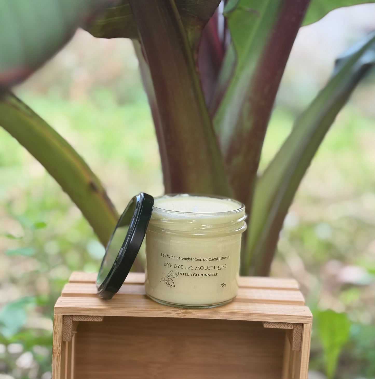 Bougie senteur citronnelle