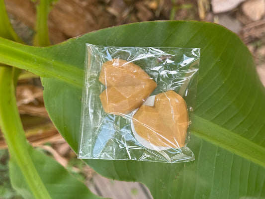 Fondants parfumés senteur éclat de noisettes