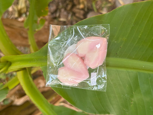 Fondants parfumés senteur fruits des bois