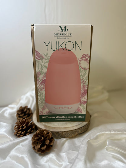 Diffuseur d'huiles essentielles